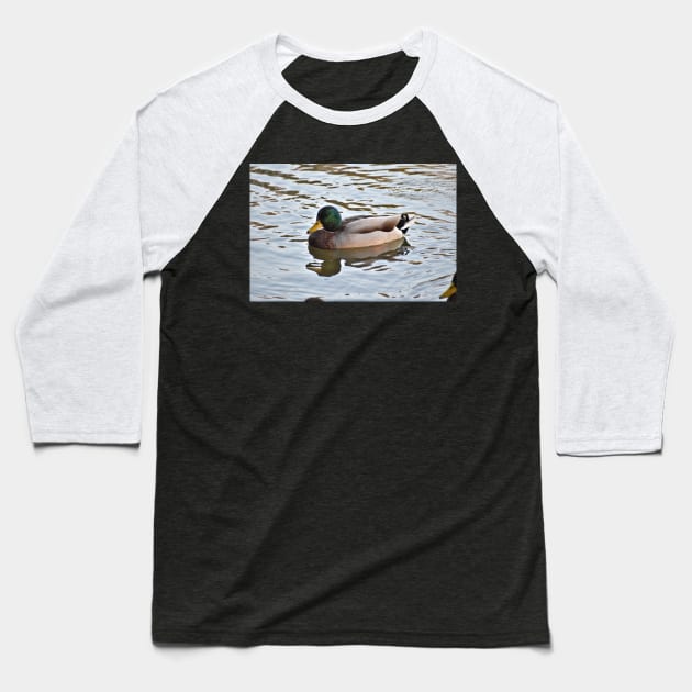 Father Duck Baseball T-Shirt by A Thousand Words Photography